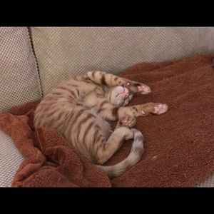 Meet your Posher, Mitch